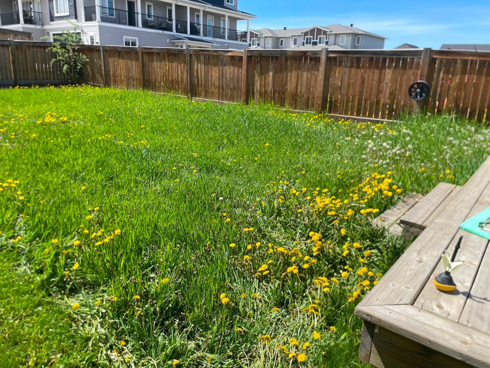 Long grass along a fence before trimming